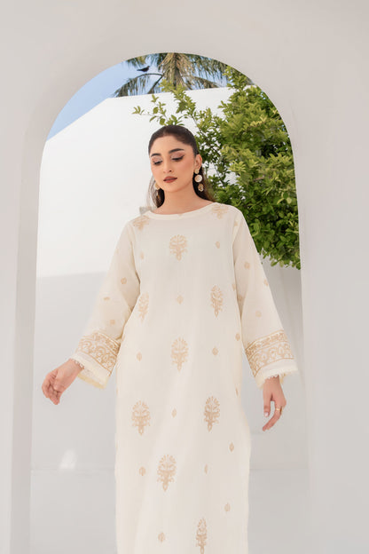 Daisy - 2 Piece Embroidered Stitched Lawn Suit