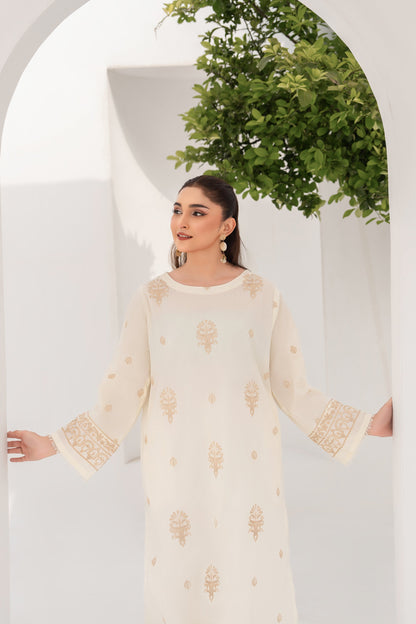 Daisy - 2 Piece Embroidered Stitched Lawn Suit